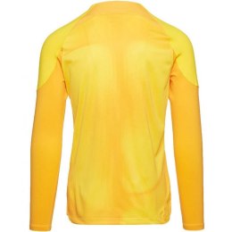 Koszulka bramkarska Nike Gardien IV Goalkeeper JSY M DH7967 719