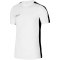 Koszulka Nike DF Academy 23 SS M DR1336 100