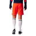 Spodenki piłkarskie adidas Squadra 17 M BJ9229