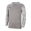 Koszulka Nike Dry Park IV M CJ6066-052