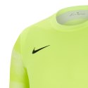 Koszulka Nike Dry Park IV M CJ6066-702
