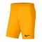 Spodenki Nike Park III Knit Jr BV6865-739