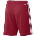 Spodenki adidas Squadra 21 Short M GN5771