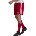 Spodenki adidas Squadra 21 Short M GN5771