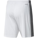 Spodenki adidas Squadra 21 Short M GN5773