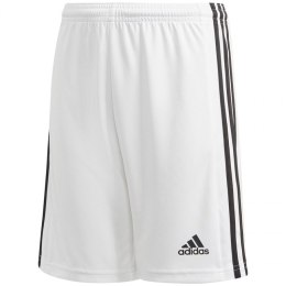 Spodenki adidas Squadra 21 Short Y Jr GN5766