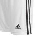 Spodenki adidas Squadra 21 Short Y Jr GN5766