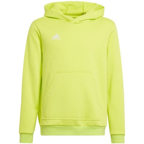 Bluza adidas Entrada 22 Hoody Jr HC5069