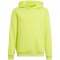 Bluza adidas Entrada 22 Hoody Jr HC5069