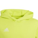 Bluza adidas Entrada 22 Hoody Jr HC5069