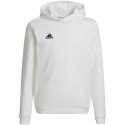 Bluza adidas Entrada 22 Hoody Jr HG6303