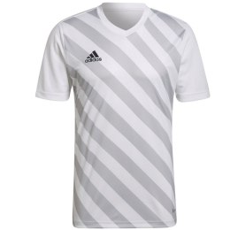 Koszulka adidas Entrada 22 Graphic Jersey M HF0129