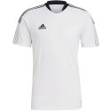 Koszulka adidas Tiro 21 Training Jersey M GM7590