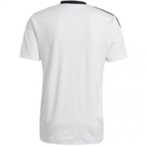 Koszulka adidas Tiro 21 Training Jersey M GM7590
