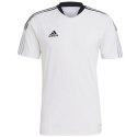 Koszulka adidas Tiro 21 Training Jersey M GM7590