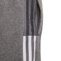 Spodenki adidas Tiro 21 Sweat Short Jr GP8806