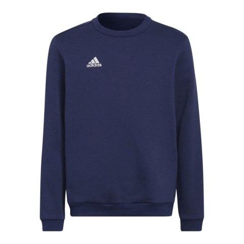 Bluza adidas Entrada 22 Hoody Jr H57568