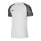 Koszulka Nike Dri-Fit Academy SS M DH8031-104