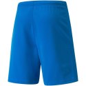 Spodenki Puma teamRISE Short M 704942 02