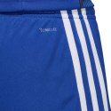 Spodenki adidas Tastigo 19 Shorts Jr DP3682