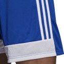 Spodenki adidas Tastigo 19 Shorts Jr DP3682