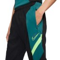 Spodnie Nike Dri-FIT Academy M CT2491-015