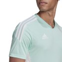 Koszulka adidas Condivo 22 M HD2271