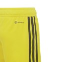 Spodenki adidas Tiro 23 League Jr IB8095