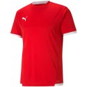 Koszulka Puma teamLIGA Jersey M 704917 01