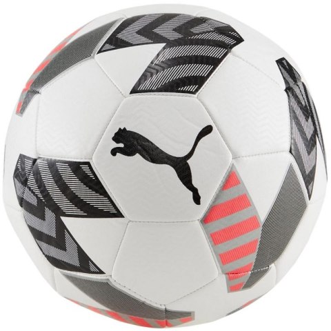 Piłka nożna Puma King Ball 83997 02