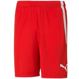 Spodenki Puma teamLIGA M 704924 01