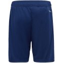 Spodenki adidas Tiro 23 League Training Jr HS0321