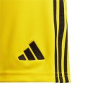 Spodenki adidas Tiro 24 Jr IT2410