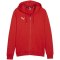 Bluza Puma Team Goal Casuals Hooded M 658595 01