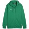 Bluza Puma Team Goal Casuals Hooded M 658595 05