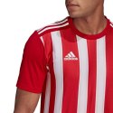 Koszulka adidas Striped 21 Jersey M GN7624