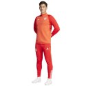 Spodnie adidas FC Bayern Training Panty M IQ0605