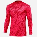 Bluza Nike Gardien V Goalkeeper DF V M FD7474-644