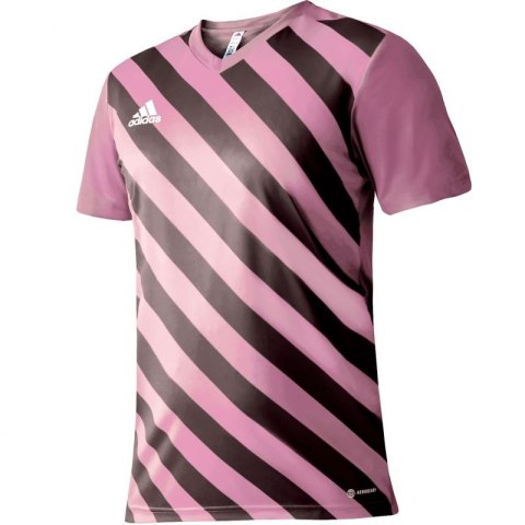 Koszulka adidas Entrada 22 Graphic Jersey M HC2633