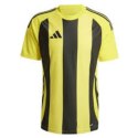 Koszulka adidas Striped 24 JSY M IW2146