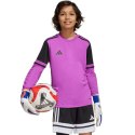 Koszulka bramkarska adidas Squadra 25 Long Sleeve Jr JJ1939