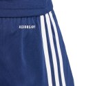 Spodenki adidas Squadra 25 M JN5468
