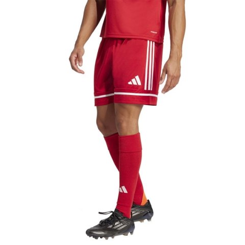 Spodenki piłkarskie adidas Squadra M 25 Short JN5466