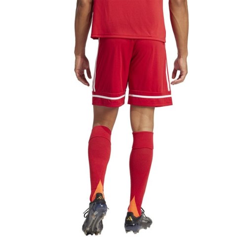 Spodenki piłkarskie adidas Squadra M 25 Short JN5466