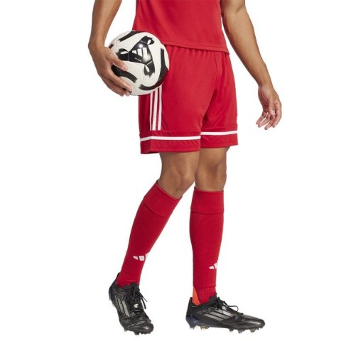 Spodenki piłkarskie adidas Squadra M 25 Short JN5466
