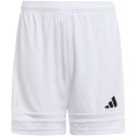 Spodenki adidas Squadra 25 Jr JJ2423