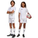 Spodenki adidas Squadra 25 Jr JJ2423