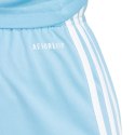 Spodenki adidas Squadra 25 M JH3407