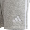 Spodenki adidas Tiro 24 Sweat Jr IS1005