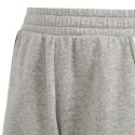 Spodenki adidas Tiro 24 Sweat Jr IS1005